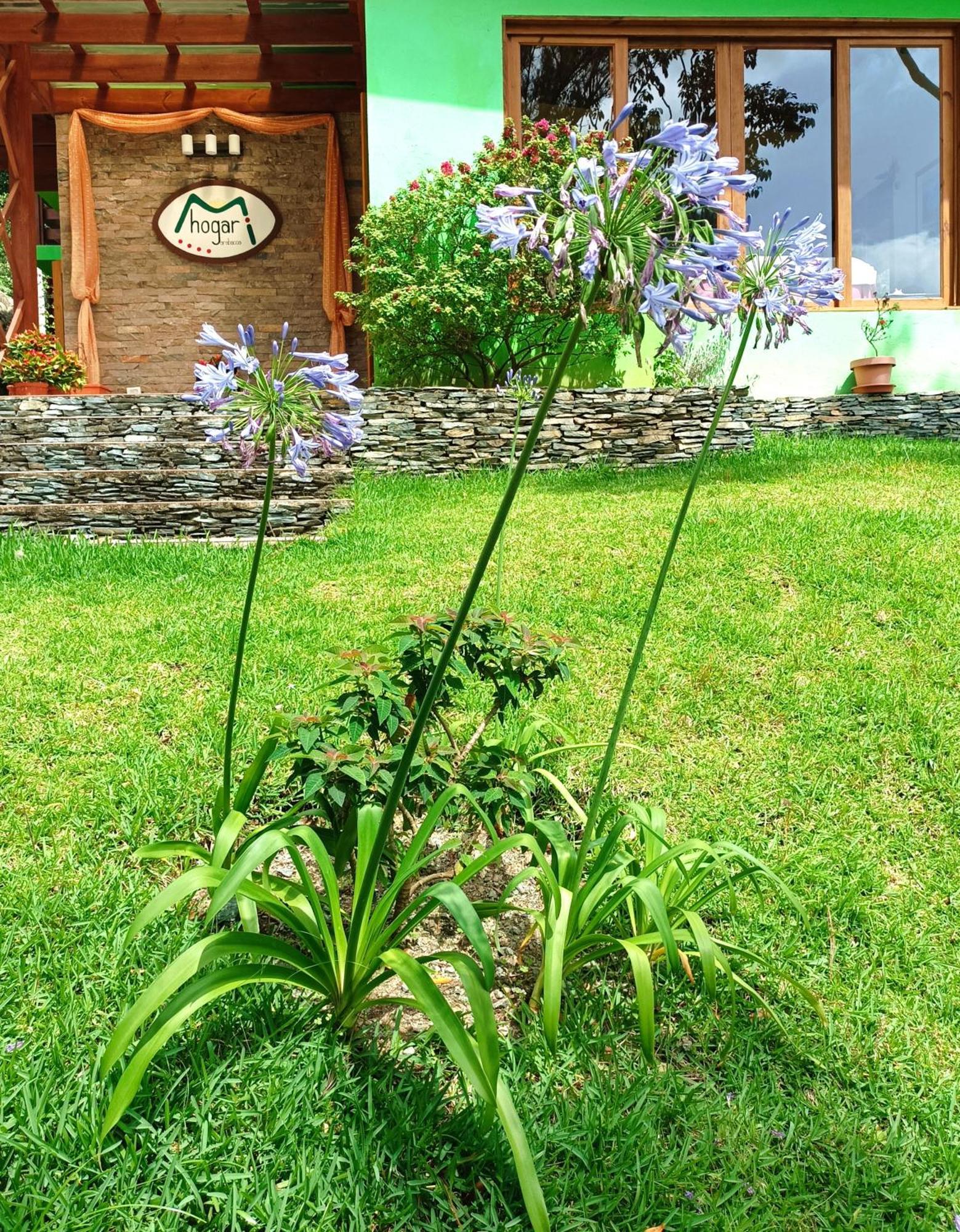 Apartament Mi Hogar Jarabacoa Zewnętrze zdjęcie