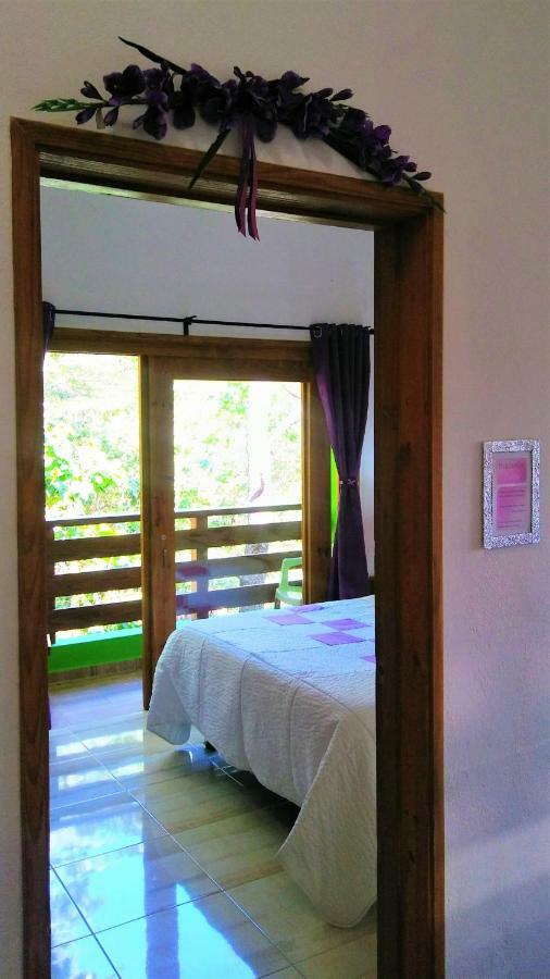 Apartament Mi Hogar Jarabacoa Zewnętrze zdjęcie